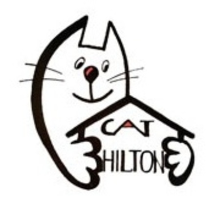 msk-cat-hilton